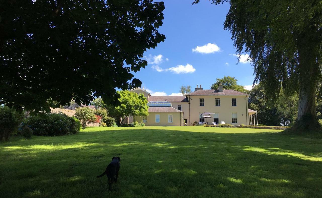 לינה וארוחת בוקר לאנדיילו Llwynhelig Manor מראה חיצוני תמונה
